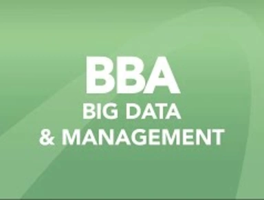 Les coulisses d'un après-midi d'immersion au BBA Big Data & Management