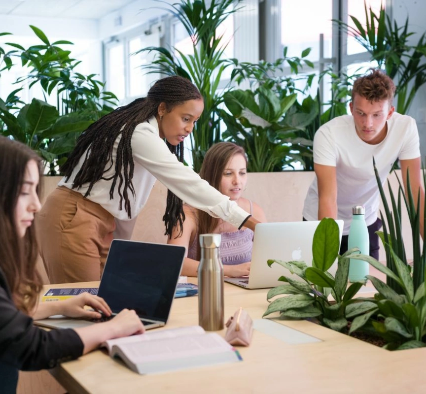 Audencia Bachelor in Management : seul programme en 3 ans renouvelant son visa et grade de licence pour la durée maximale