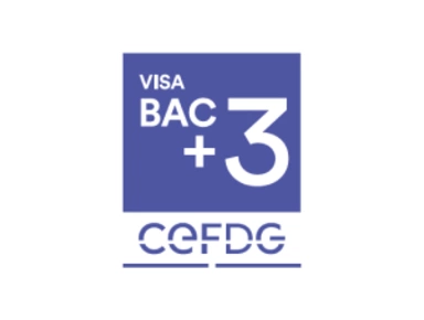 logo visé bac plus 3 audencia