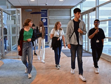 Participez aux après-midi d'immersion du BBA Big Data & Management