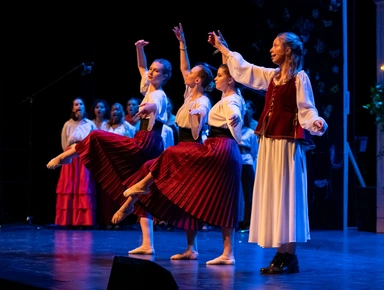 Comédie musicale d'Audencia