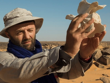 Stéphane DUGAST ALUMNI