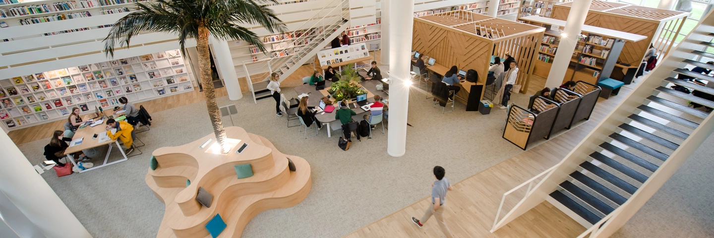 Bibliothèque de l'école