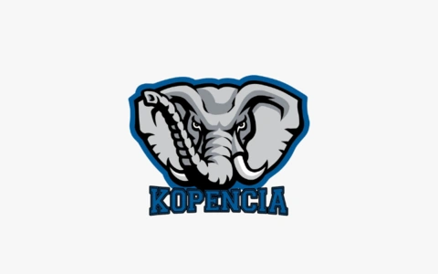 Logo association Kopencia
