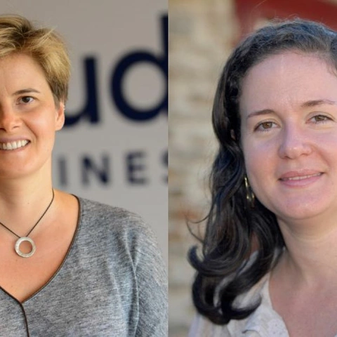 Publication de "Indignação and declaração corporal : Luta and artivism in Brazil during the times of the pandemic"