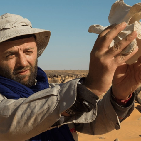 Stéphane DUGAST ALUMNI