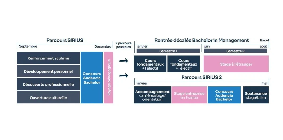 Schéma cursus Parcours Sirius