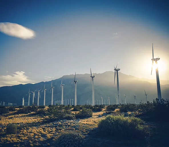 Audencia - View of wind farm