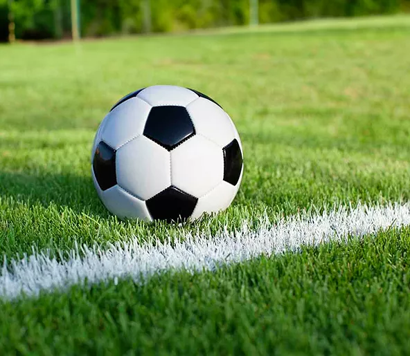 Audencia - Ballon de football sur terrain en gazon