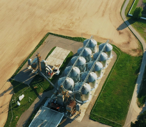 MSc & MBA in Food & Agribusiness Management