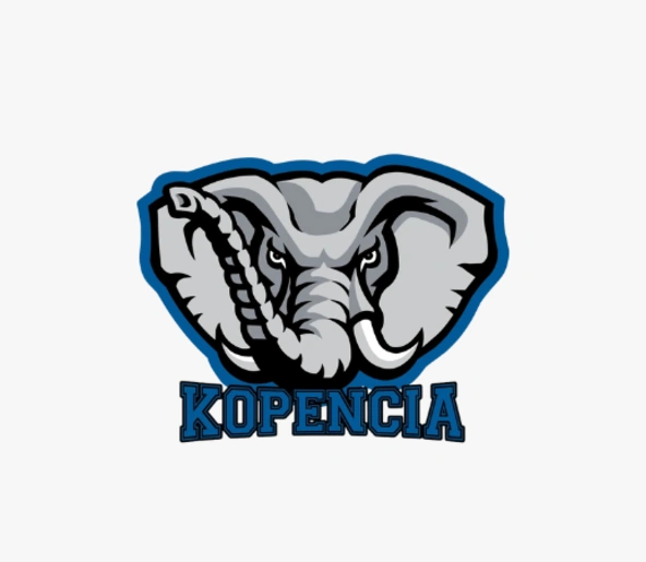 Logo association Kopencia