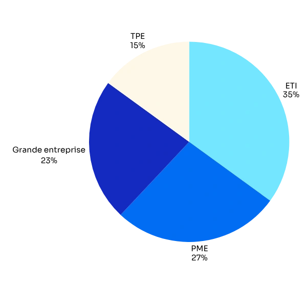 Graphique sur la répartition des typologies d'organisation dans le MBA