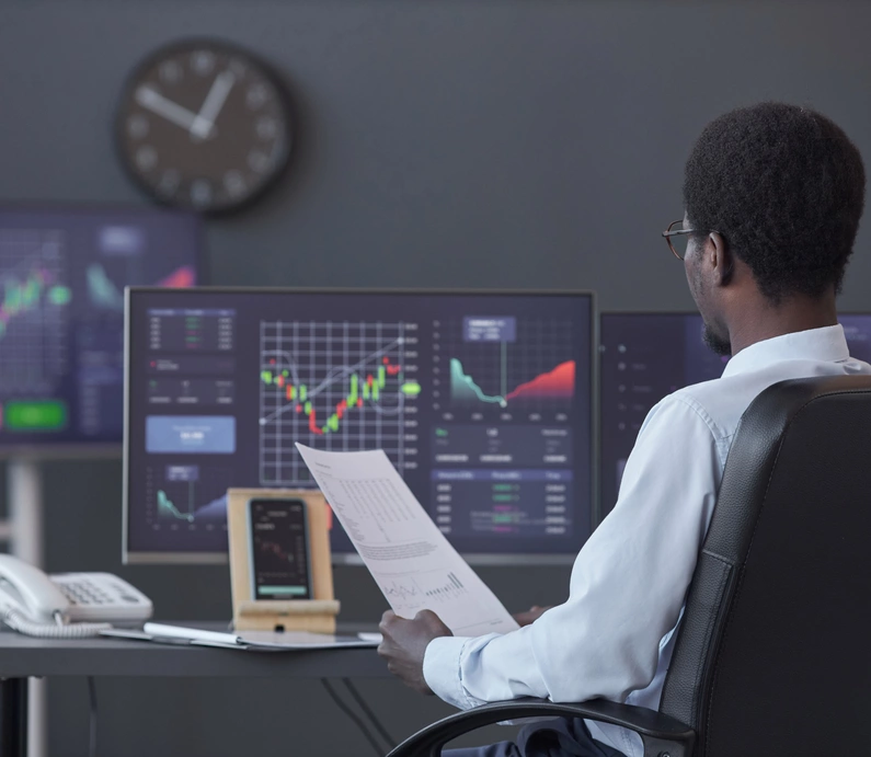 MSc in Financial Markets and Sustainable Investments