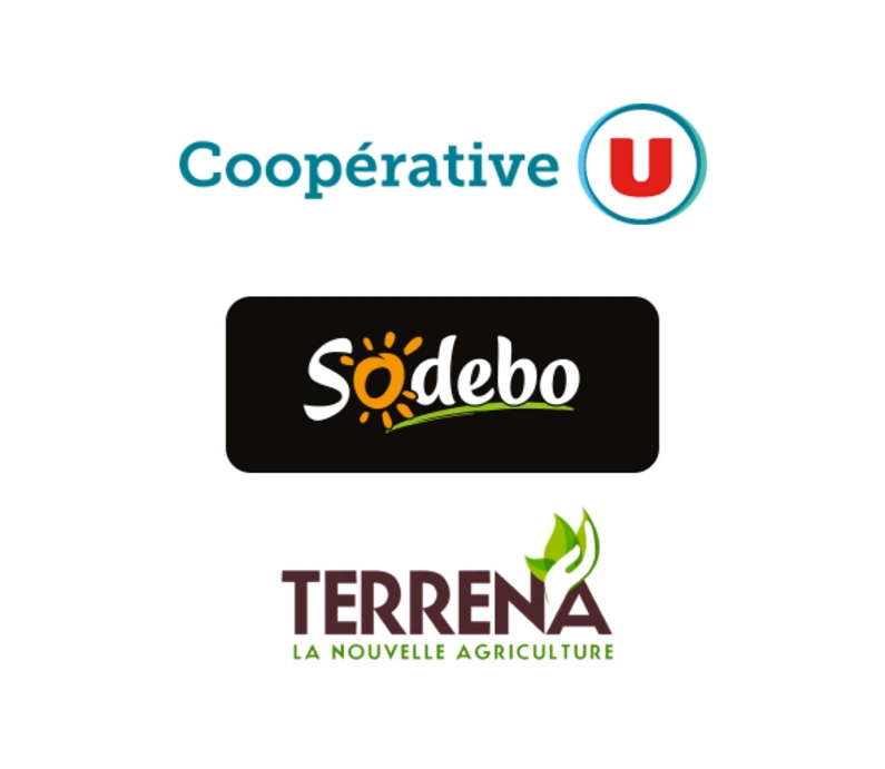mecenes audencia chaire consommateur